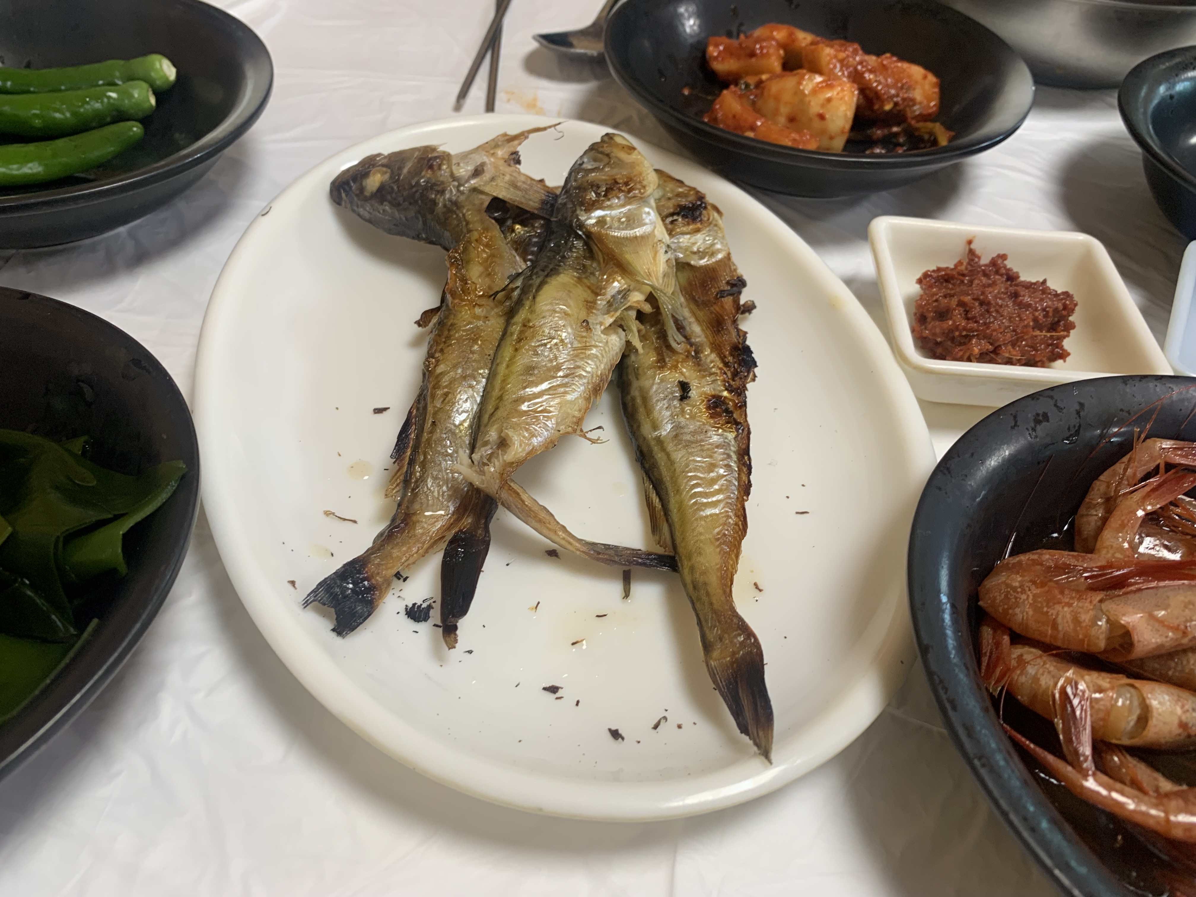 묵호 거북이횟집 곰치국 후기 내돈내산