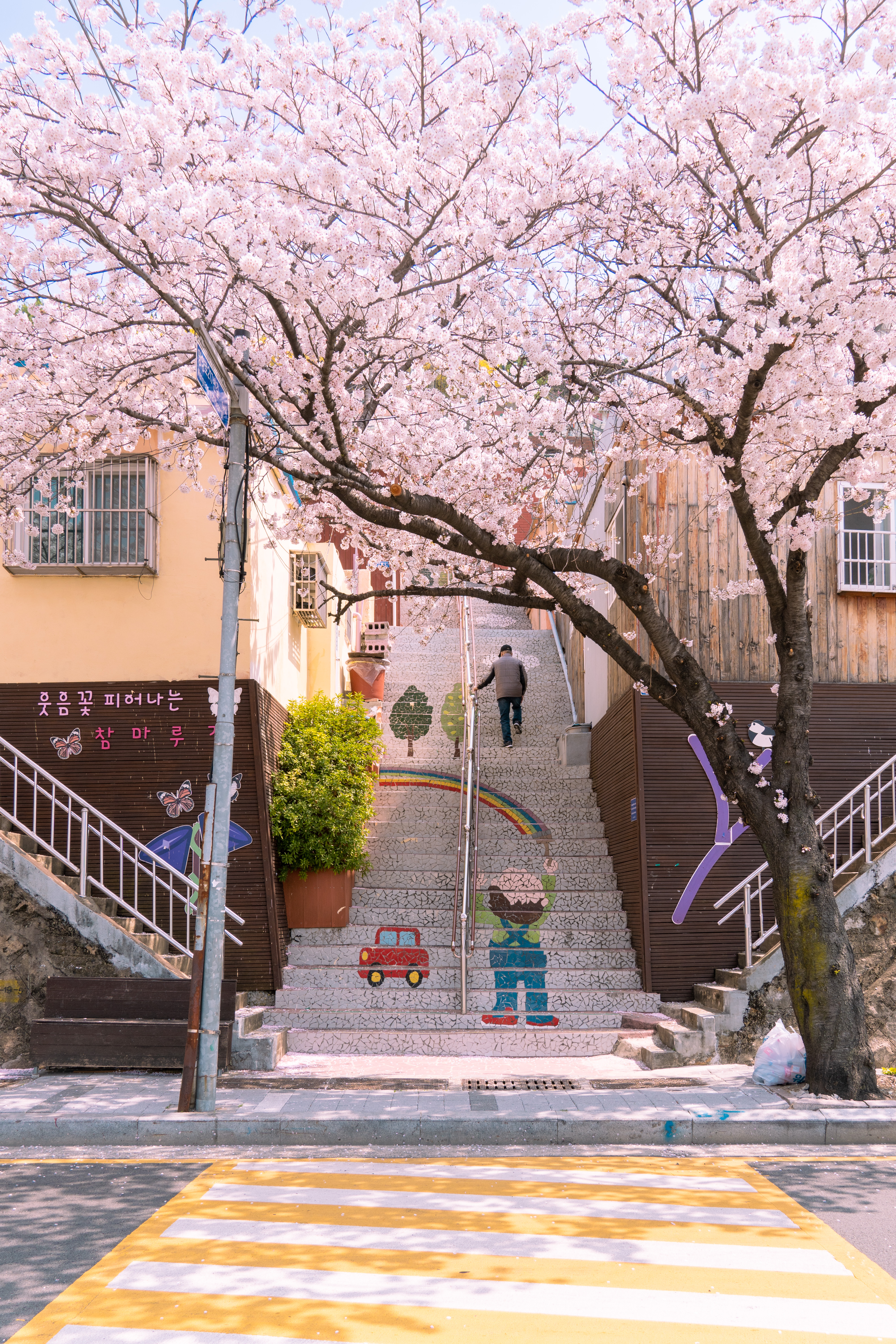 부산 닥밭골 벽화마을