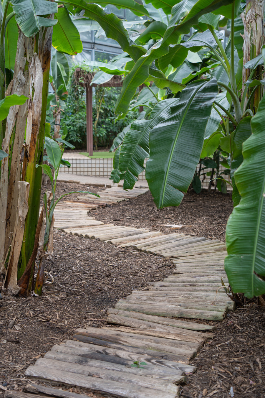 여미지 식물원 열대 과수원