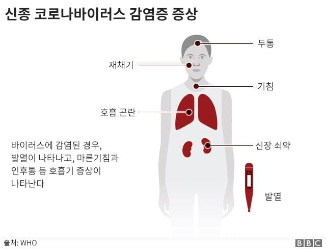 코로나-증상-장기-소개