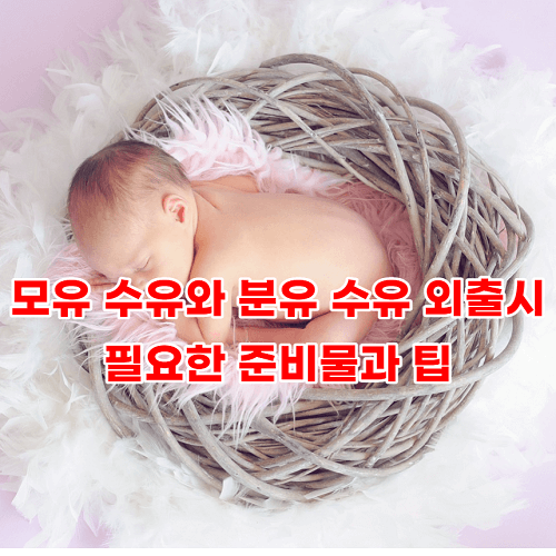 모유 수유와 분유 수유 외출시 필요한 준비물과 팁