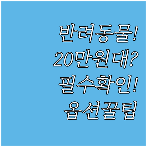 반려동물 장례비용 20만원대 시작 옵..