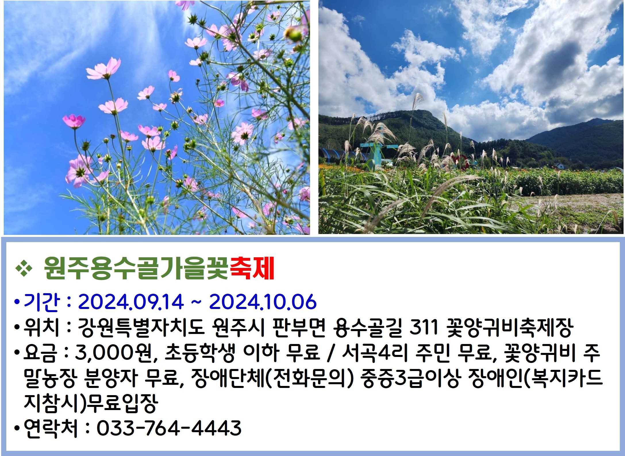 원주용수골가을꽃축제