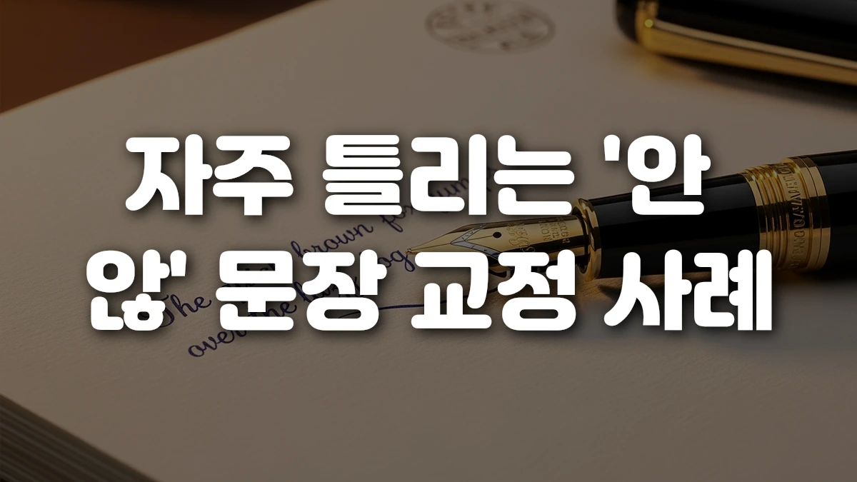 자주 틀리는 안 않 문장 교정 사례
