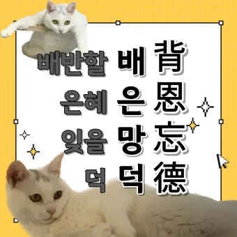 배은망덕 뜻 의미 실제 사례 유래_4