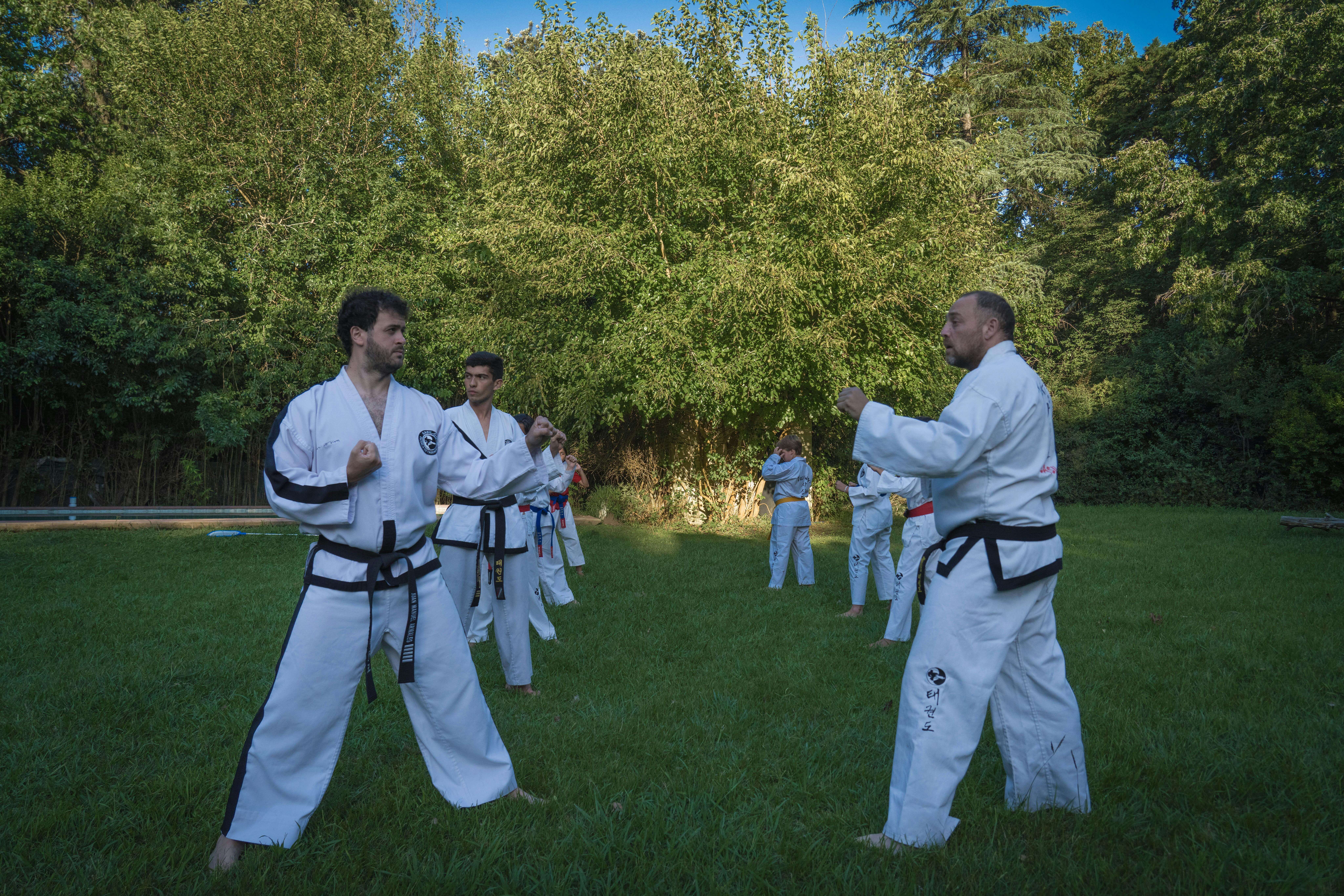 태권도 단증 확인 방법 완벽 정리 단수 조회부터 재발급까지