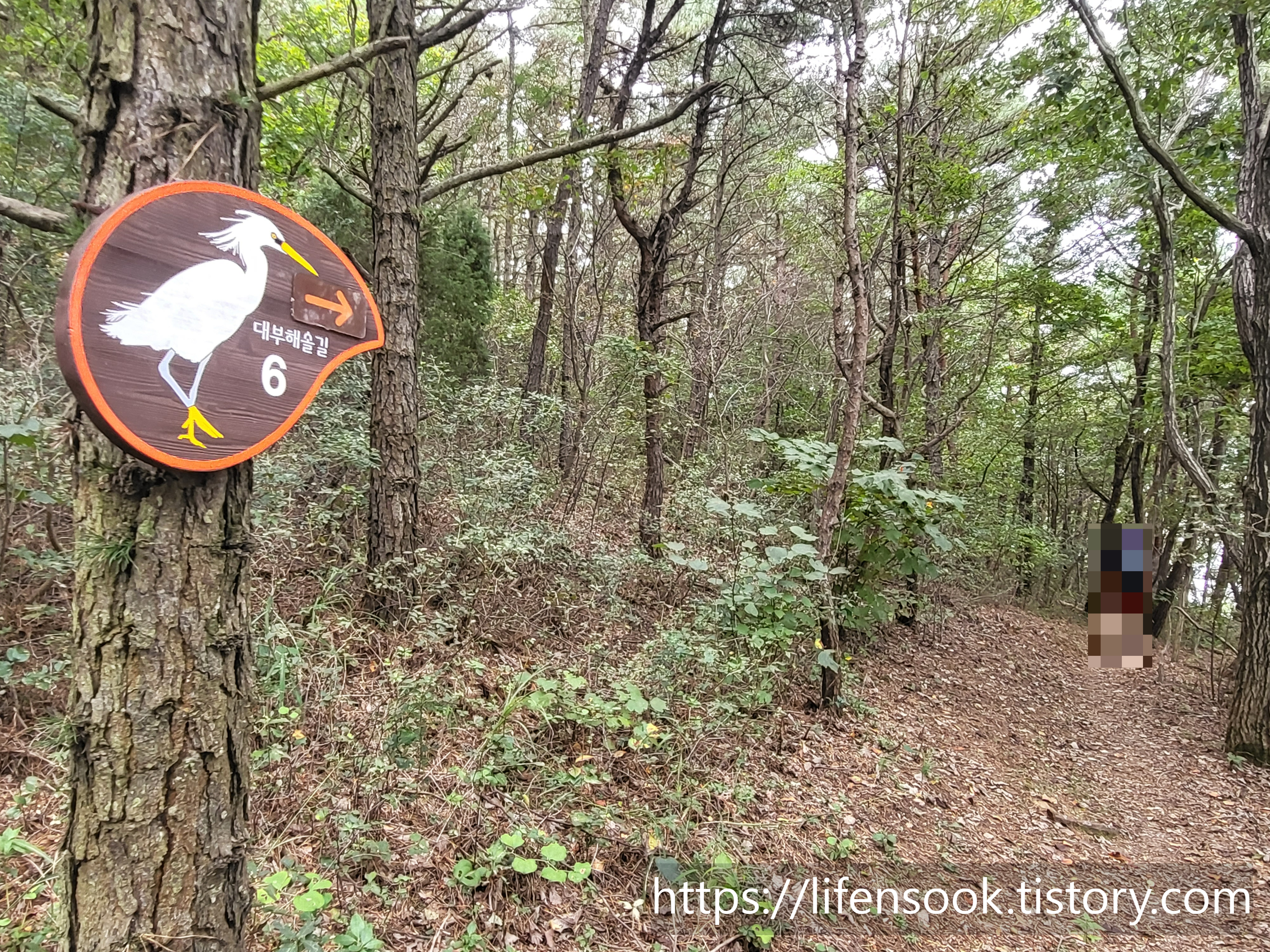 대부해솔길 6코스 이정표 5