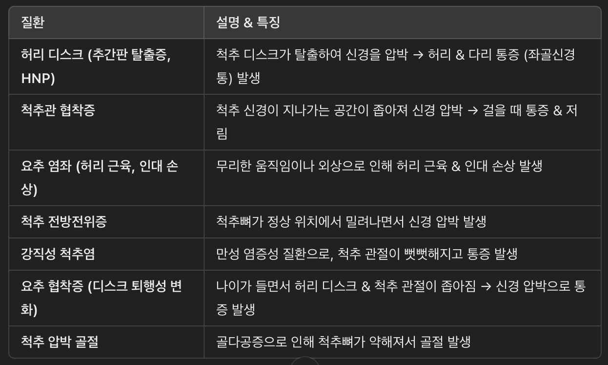 허리 통증의 주요 원인 및 질환