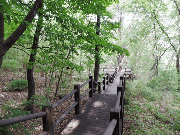 국립 오서산 자연휴양림