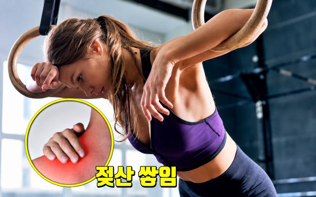 살구 어디에 좋은가요 살구 효능 부작용 피로회복 면역력