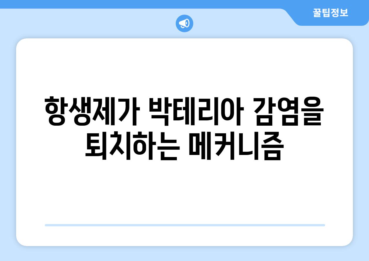 항생제가 박테리아 감염을 퇴치하는 메커니즘