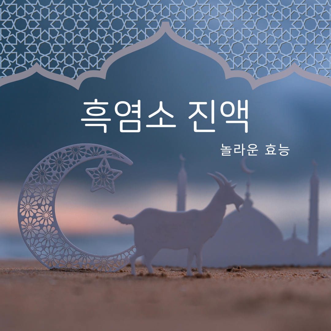 검정색의 두개의 뿔이 달린 흑염소가 달모양 조명이 비추는성안을 천천히 거니는 모습.