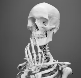 공심채 효능 부작용 고르는법 칼로리 다연채 모닝글로리