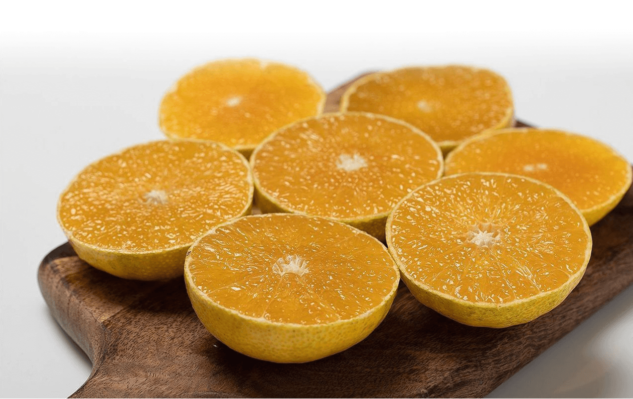 [한눈에 쏙!] 한라봉, 천혜향, 레드향 등 만감류의 차이점