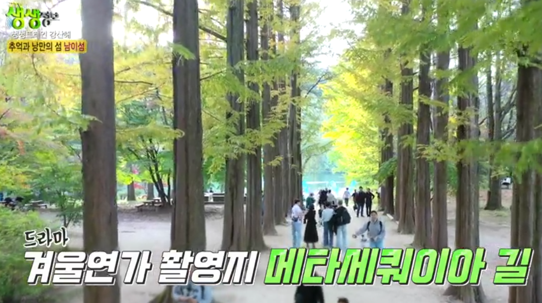 남이섬