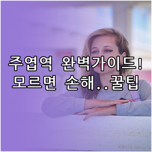 3호선 주엽역 이용 가이드라인 제외 ..