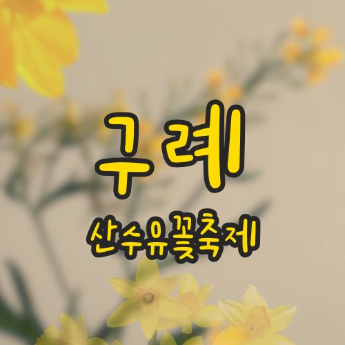 구례 산수유축제 산수유꽃 봄꽃축제