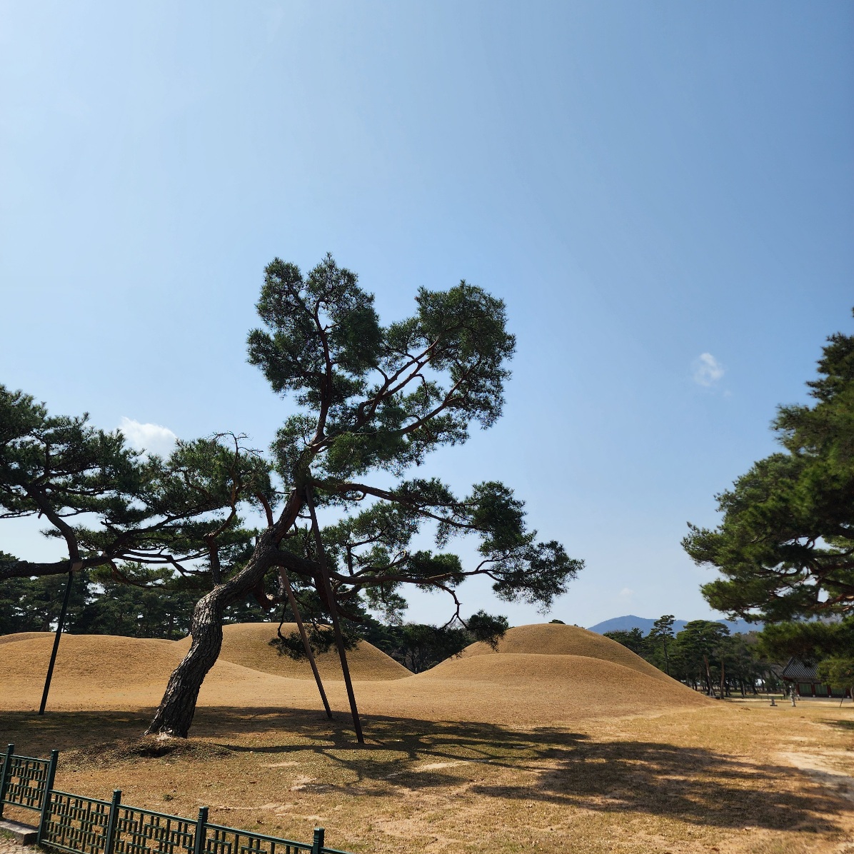 경주-오릉