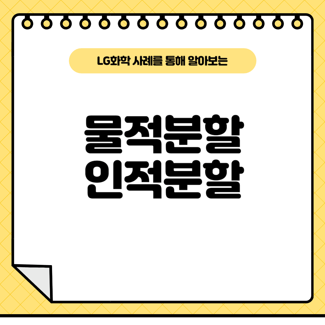 물적분할-인적분할