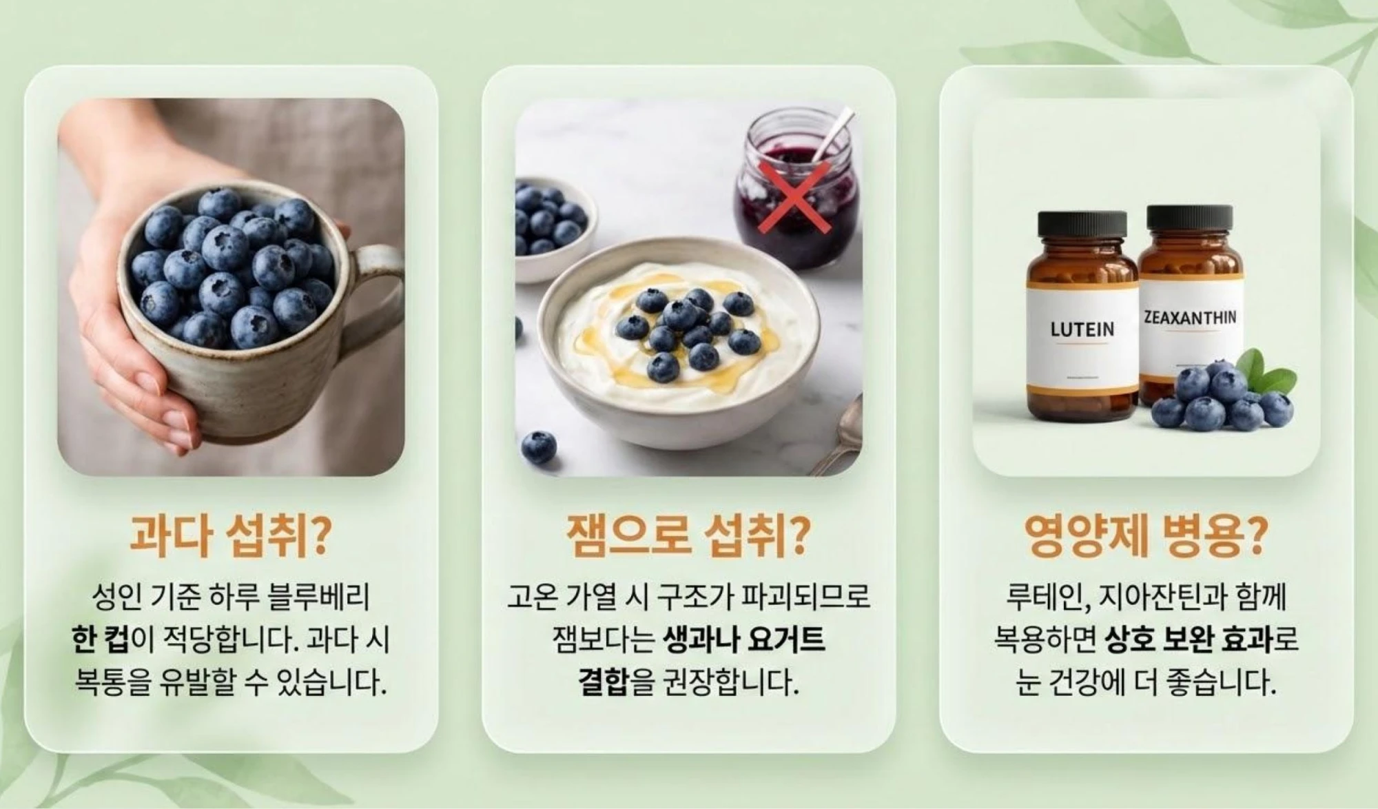 블루베리 섭취 주의 사항 인포그래픽. 1단계: 과다 섭취 복통 및 성인 권장량 설명. 2단계: 잼 가열 영양 파괴 대비 생과 권장. 3단계: 루테인 지아잔틴 병용 시 눈 건강 시너지 효능 설명