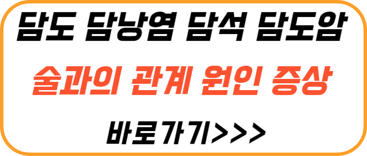 술-담도-담낭-담석-관계