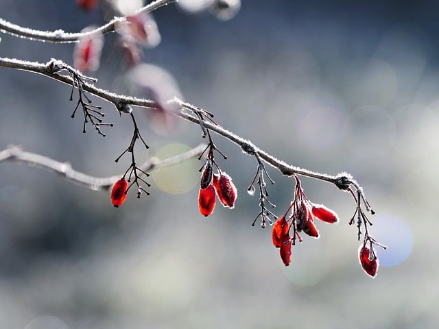 왜 우리는 익숙한 것에 더 신뢰를 느낄까요 단순 노출 효과(Mere Exposure Effect)