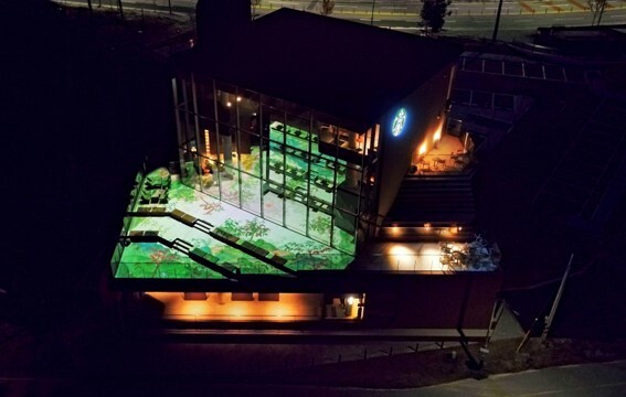 스타벅스 더춘천의암호R점 관련 이미지