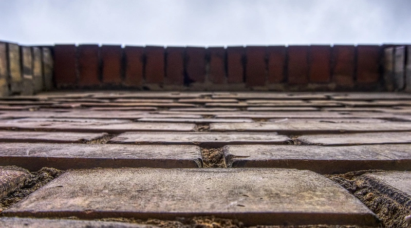 서론: 전선의 세계로의 초대