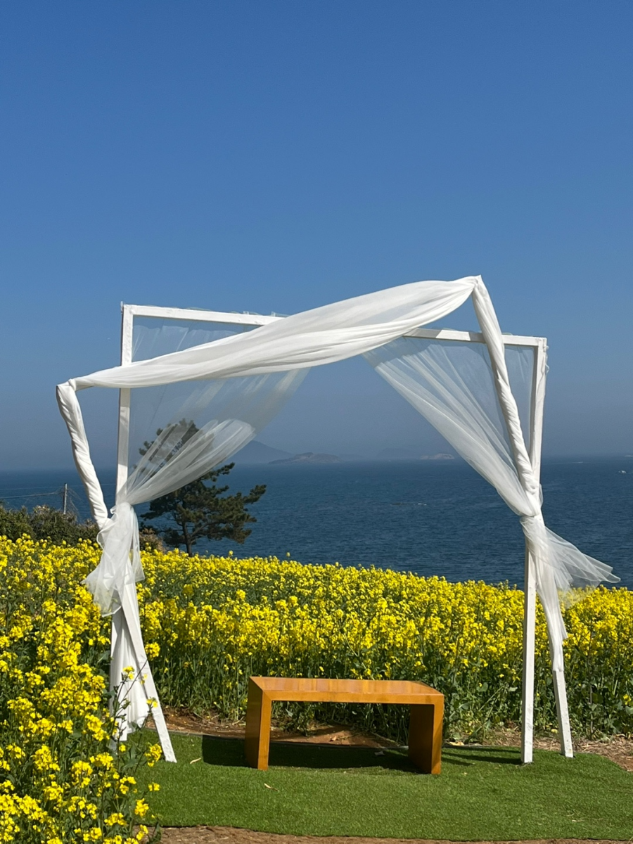 부안 수성당 유채꽃과 적벽강