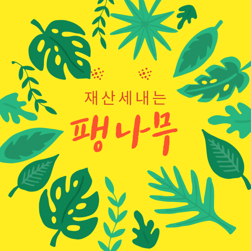 재산세 내는 팽나무