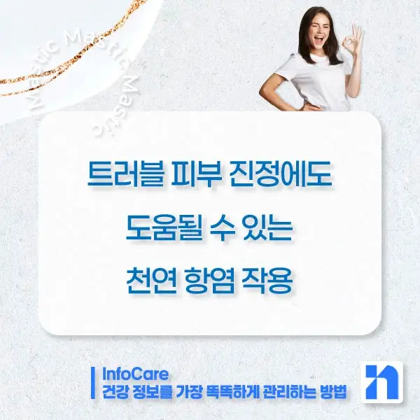 매스틱 매스틱검 효능 효과