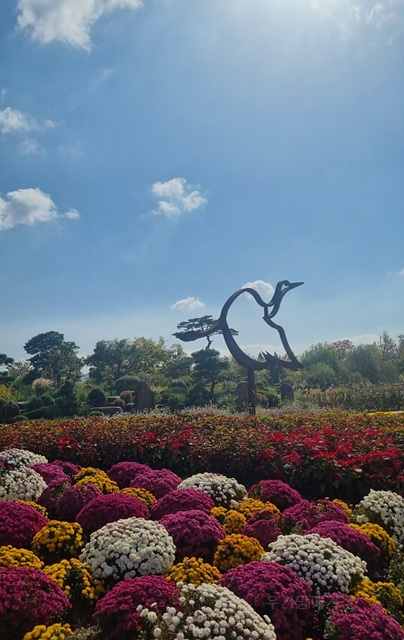 2025 순천만 국가정원 순천여행 맛집 현지인 추천 맛집 순천만 숙박