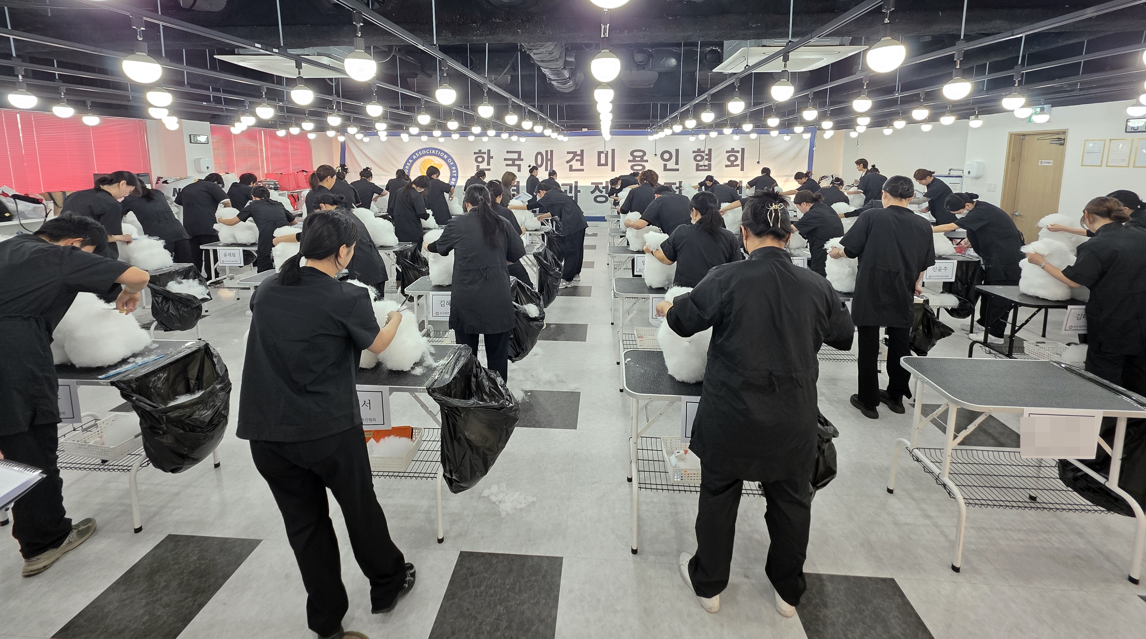 애견미용자격증시험