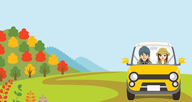 광복절-특별사면-운전면허-대상자