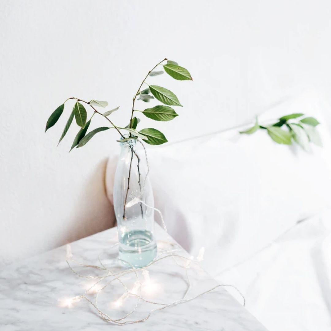 플랜테리어 방법