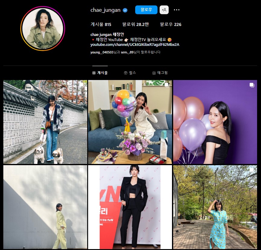 채정안 인스타그램