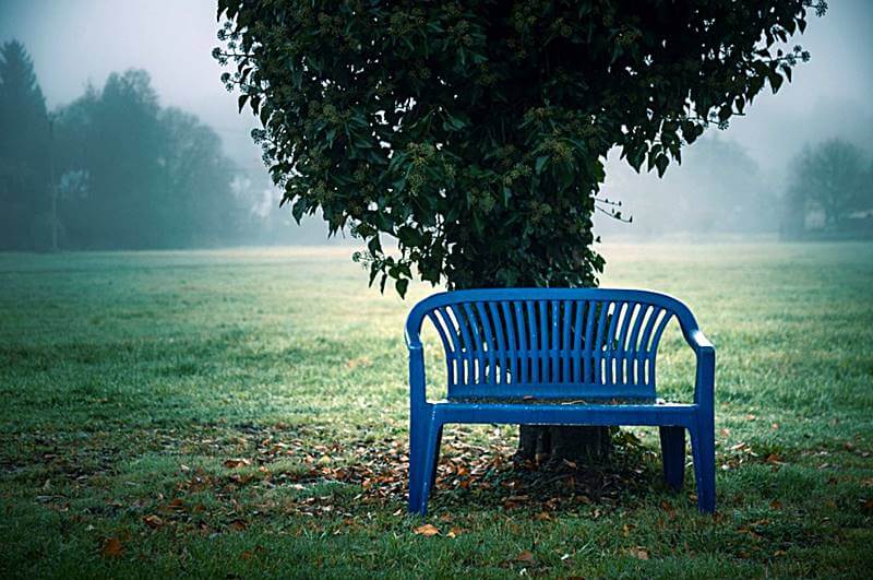 한적한-공원에-파란색의-벤치의-모습