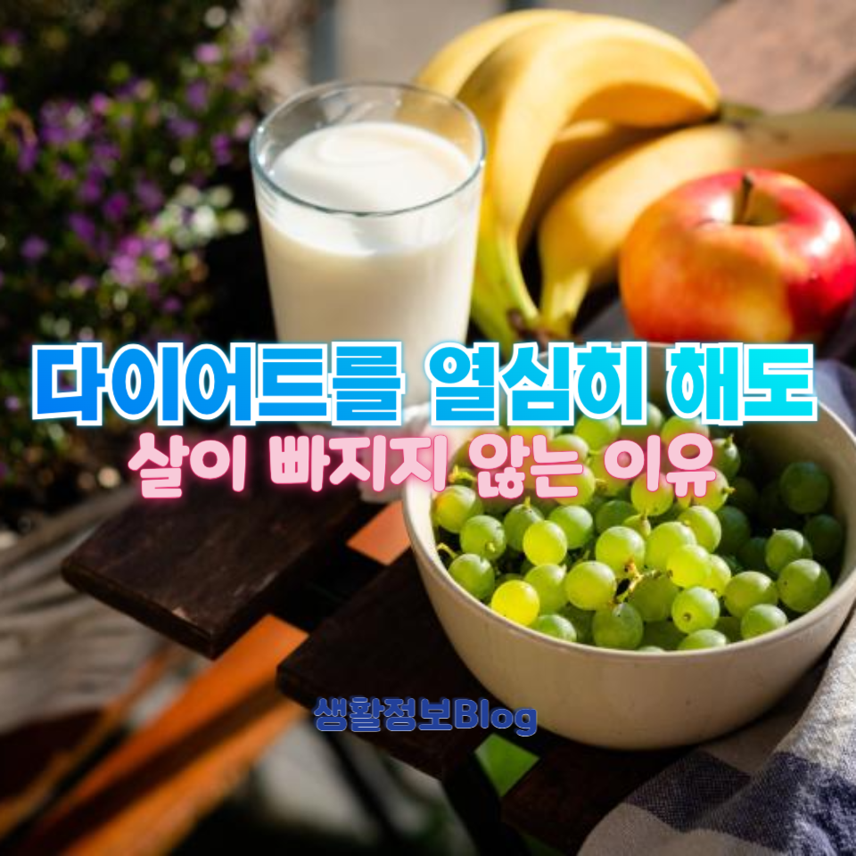 다이어트가 안 되는 이유?