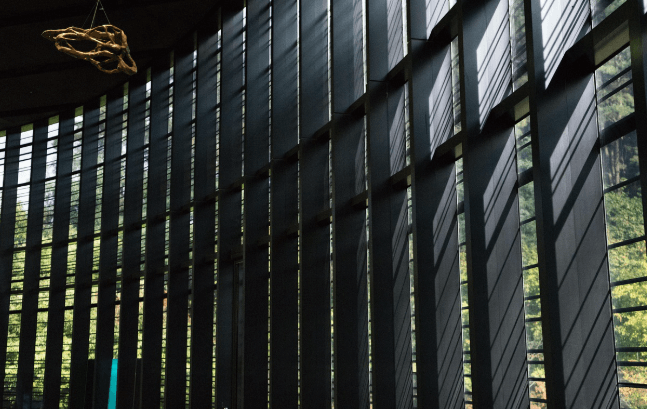 국립현대미술관 2025 무료개방