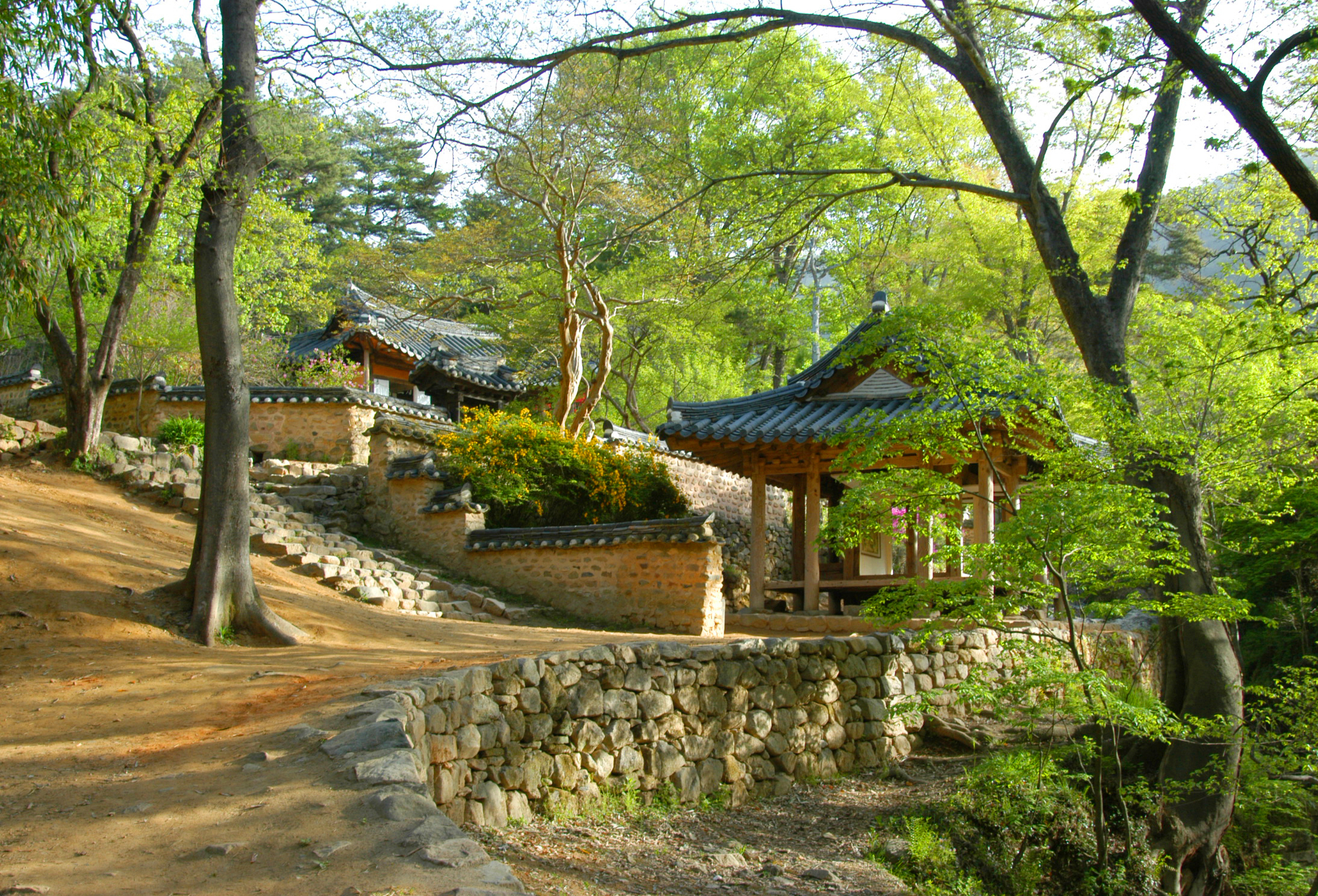 보고 먹고 즐기고 3GO 전남 담양 메타세쿼이아 가로수길, 대나무숲, 죽통밥 떡갈비 맛집, 죽로차 전통 찻집 카페 데이트 가족 힐링 여행 코스 가볼만한 곳 추천