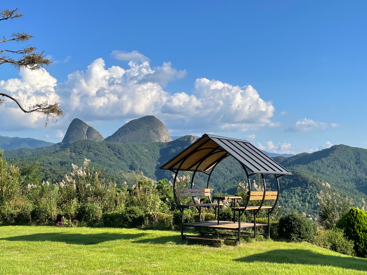 진안 꽃잔디동산