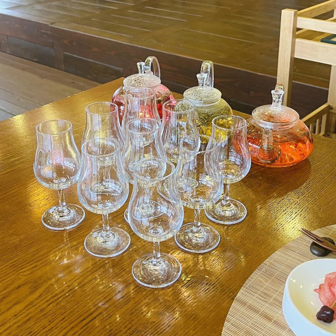 생방송오늘저녁 강화도, 춘천, 가평 가을꽃 붉은 칠면초, 직접 꽃을 꺾어 꽃다발 만드는 체험 정원, 꽃차 카페 가볼만한 곳 추천