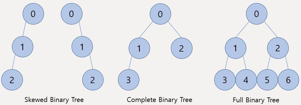 편향 이진 트리, 완전 이진 트리, 포화 이진 트리