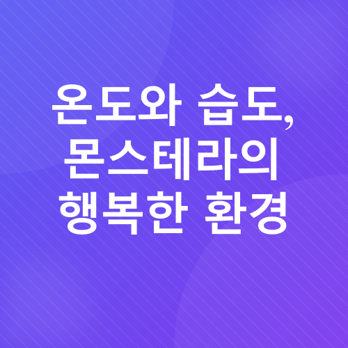 몬스테라 키우기_3