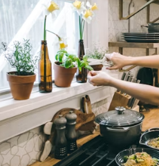바질 효능 부작용 고르는법 요리 먹는 방법 허브