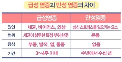 급성염증과 만성염증의 차이