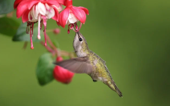 종아리 근육 통증 원인 바로 확인 13