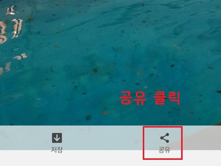 공유버튼 클릭함