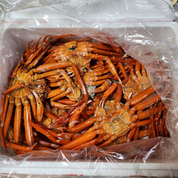 떨어진 다리도 없이 잘 쪄진 게