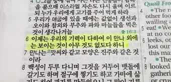 이스라엘 백성 불만 민수기 11장_4
